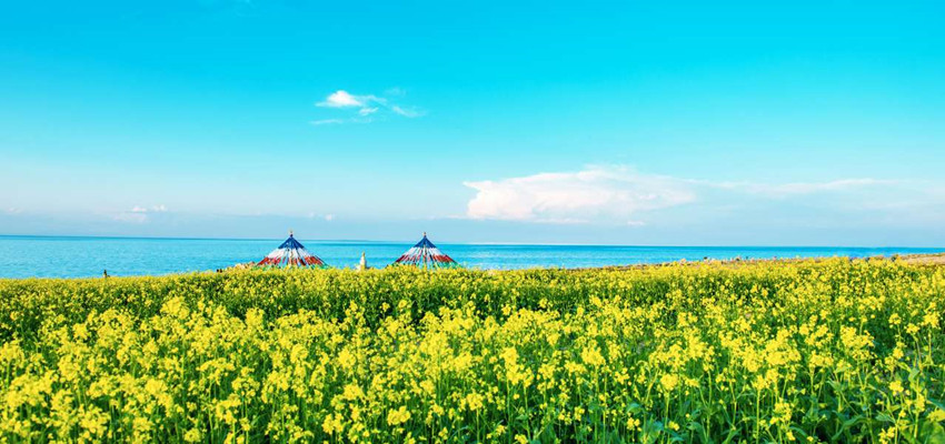 Qinghai See