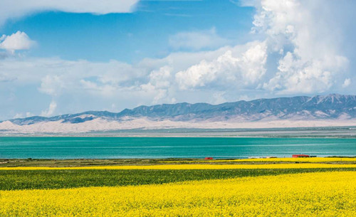 Qinghai See
