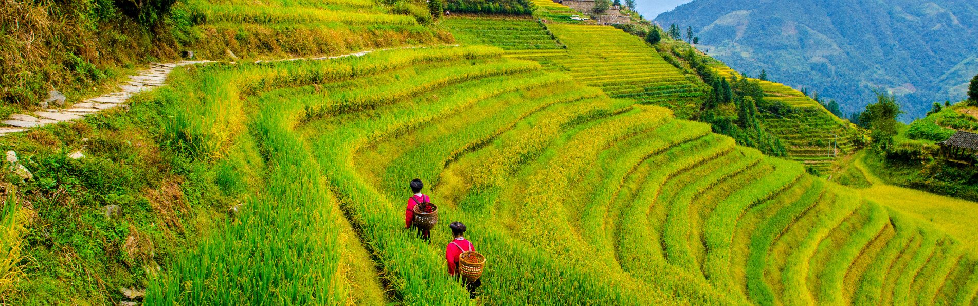 China Rundreise 3 Wochen