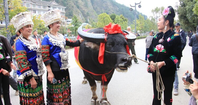 Das Miao Neujahrsfest