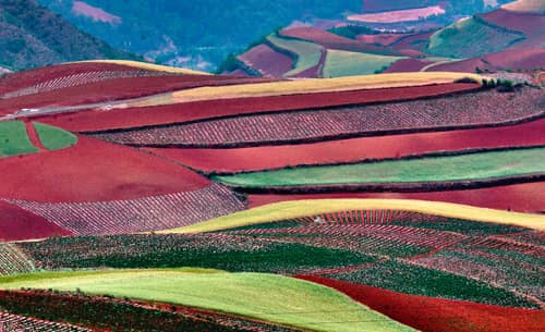 yunnan