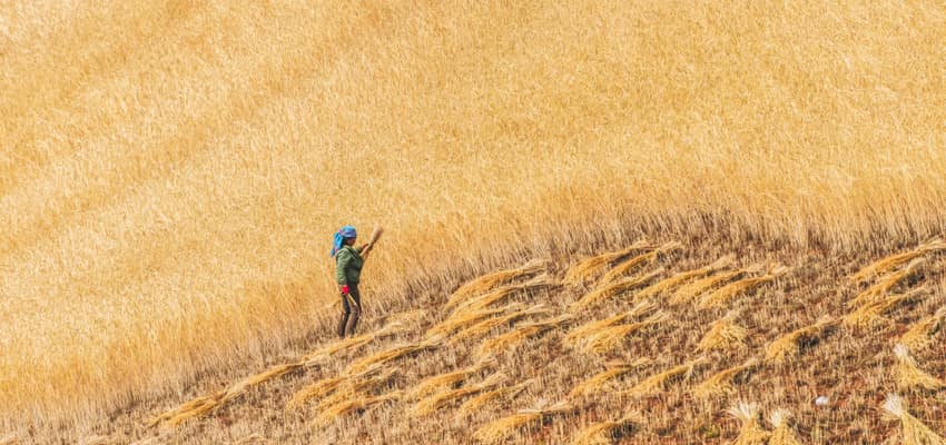 dongchuan