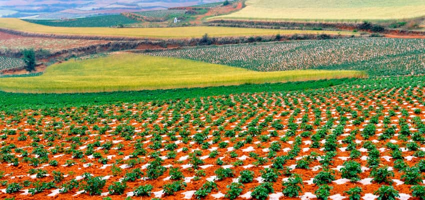 Dongchuan