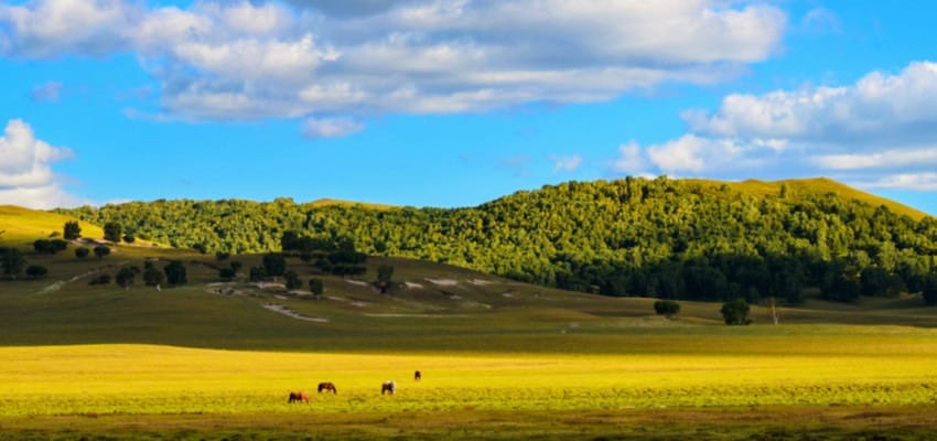innere Mongolei