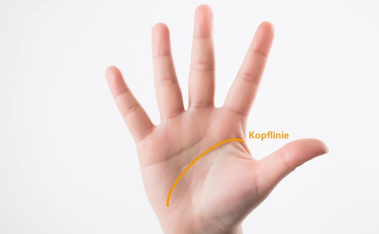 Kopflinie