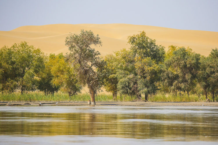 xinjiang