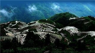 Longji -Reisterrasse