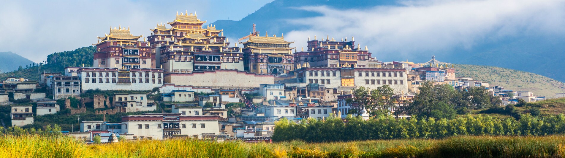 Reisfelder Guilin