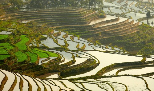 Reisterrassen China