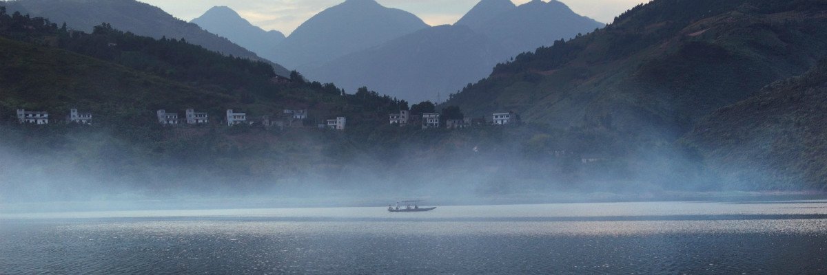Shennong Bach