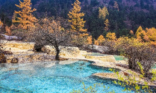 Sichuan Highlights (Jiuzhaigou & Emeishan)