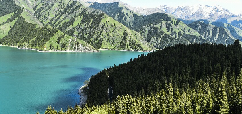 der Tianshan Wald