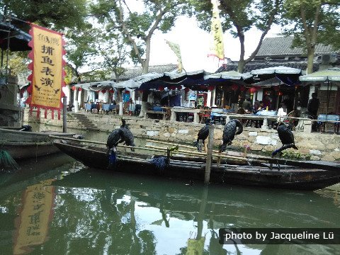 Tongli Wasserdorf