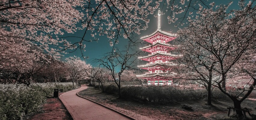Frühling in Wuhan