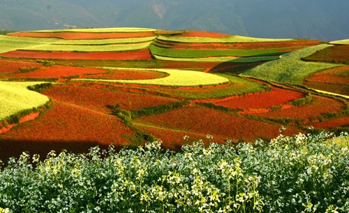 Dongchuan Roterde