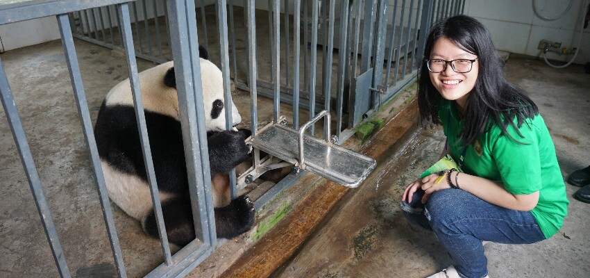Chengdu Wetter April