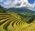 Longsheng