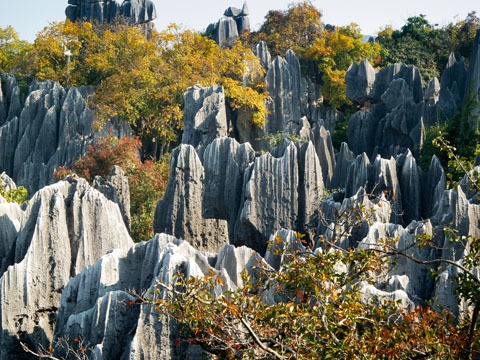 Kunming Steinwald