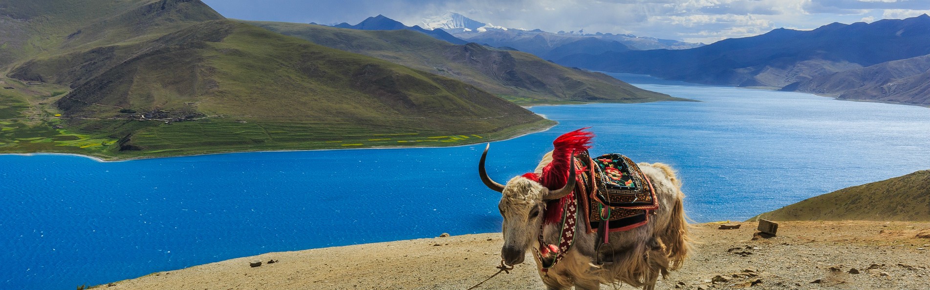 Tibet