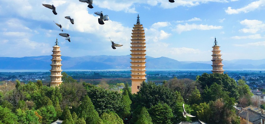 dali chongsheng