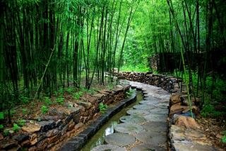 Jinyun Berg, ein nationales Landschaftsgebiet in Chongqing
