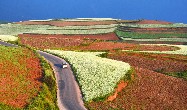 Dongchuan-Roterde