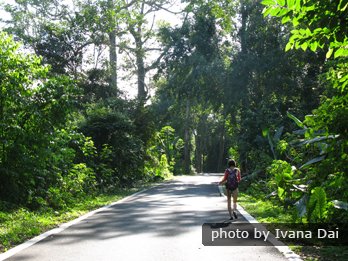 Guilin Botanischer Garten