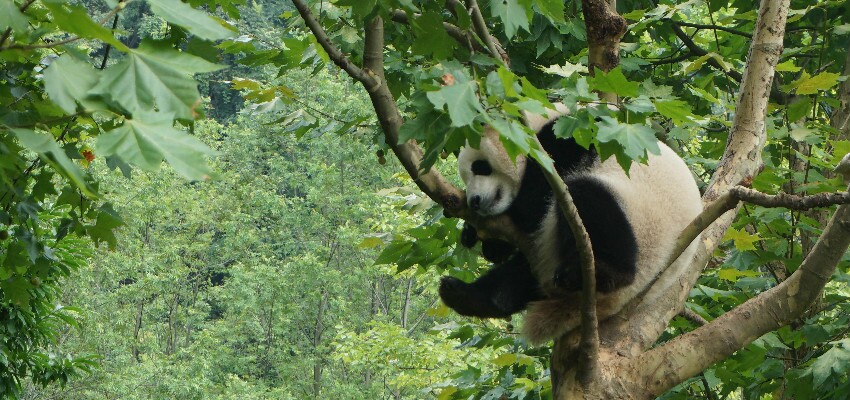 Chengdu Wetter Oktober