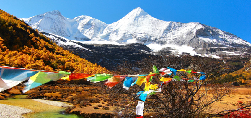 Daocheng 