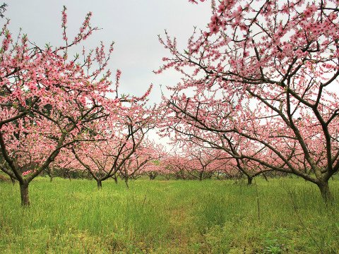 Das Wetter in China im April