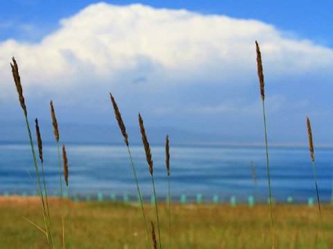 Qinghai See