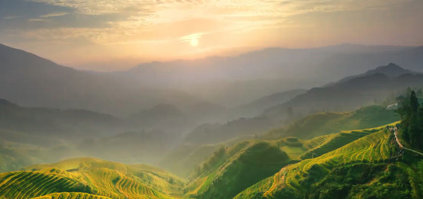 Longsheng Reisterrasse