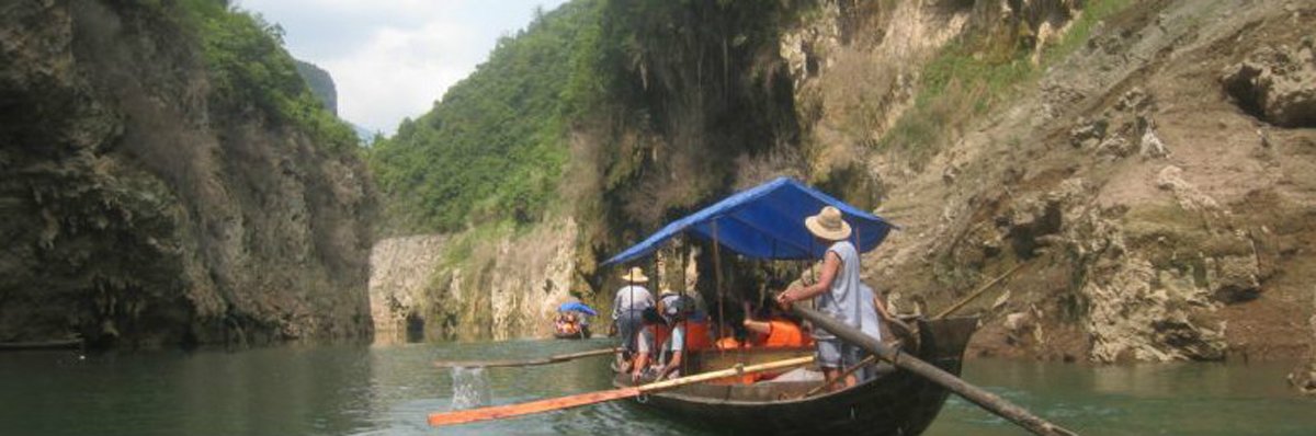 Shennong Bach