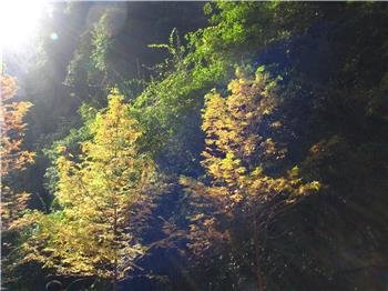Chongqing Wetter: Aktuelle Wettervorhersage & beste Reisezeit